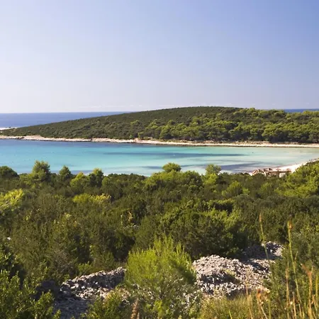 In Mit Meerblick, Terrasse, Klimaanlage, W-lan 4659-2 Luka (Dugi Otok)