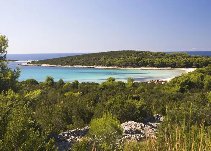 In Mit Meerblick, Terrasse, Klimaanlage, W-lan 4659-2 Luka (Dugi Otok)